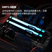 金士顿 (Kingston) FURY 16GB(8G×2)套装 DDR5 5200 台式机内存条 Beast野兽系列 RGB灯条 骇客神条