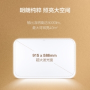 飞利浦（PHILIPS）品逸客厅灯简约现代卧室灯长方形108w 墙壁三色可调 (金)9290031991