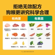 【推荐】网易严选 全价三拼犬粮 狗粮 无谷 三文鱼牛肉鸡肉鸭肉  柯基柴犬泰迪博美贵宾犬 【2.0升级款】2千克*5袋