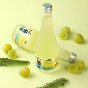 本味寒造 纯酿青梅果酒300mL*2瓶 多口味