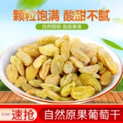 西叶 新疆黄葡萄干自然晾晒树上黄葡萄干儿童孕妇原味无添加零食 甜甜大颗粒 500克 净含量  袋装