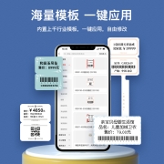精臣 B1珠宝吊牌智能标签打印机 便携式合格证珠宝超市食品饰品店透明彩色价签纸标价机打价格家用标签机 B1标签机（送1卷S40*30白色标签）