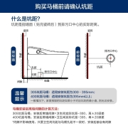 TOTO卫浴 连体超漩式节水智洁釉坐便器 CW817EB 305坑距