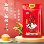 十月稻田 长粒香大米2.5kg 东北大米5斤 东北香米 粳米