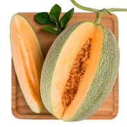 新疆西州蜜瓜哈密瓜 2粒装 单果1.25kg以上 甜瓜 新鲜水果39.9元