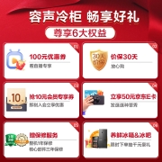 容声（Ronshen） 132升立式冰柜一级能效冰柜家用办公室冷冻柜 风冷无霜除菌净味冷柜母婴小冰箱BD-132WRSY