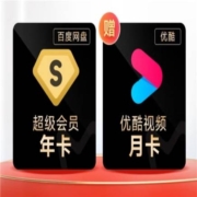 10日20点：百度网盘超级会员SVIP年卡12个月 5T云盘大空间 极速下载特权