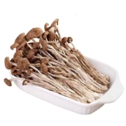 莒食园 茶树菇不开伞菌类干货 茶树菇 250g *2件