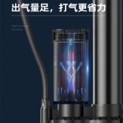 凤凰（Phoenix） 自行车打气筒电动车便携家用高压美法嘴充气泵山地电瓶汽车篮球 外置高压+气压表160PSI-黑金