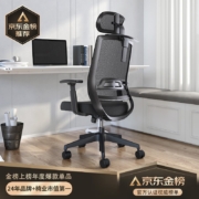 恒林 玄星人体工学椅家用电脑椅午休可躺办公转椅舒适久坐老板椅子靠背可调HLC-2788 黑色经典款+升降扶手+无搁脚 尼龙脚