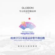 格兰贝恩（Globon）夏季羽绒枕头芯冷热双面单只成人枕五星级酒店鹅毛枕芯护颈枕芦之湖 四季枕（冷热双用） 高枕 46*72*15cm