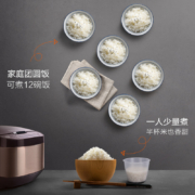 苏泊尔（SUPOR）电饭煲电饭锅5L铜晶不粘内胆3-10人使用炫彩拉丝金属机身多功能家用智能电饭煲50FC643