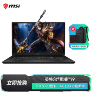 微星（MSI） 绝影2 GS76游戏本 4K电竞屏17.3英寸 笔记本电脑酷睿i9-11900H八核 RTX3070/32G内存/1T固态