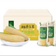 黑龙永胜 新鲜粘玉米 10支