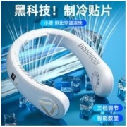 Delipow 德力普 挂脖小风扇便携式迷你懒人挂颈脖子无叶USB静音可充电便携大风力