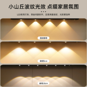 雷士照明led人体感应灯带充电式无线衣柜橱柜猫眼灯酒柜波纹灯条