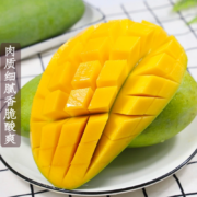 京世泽 越南大青芒 新鲜水果芒果生鲜 【推荐款】1.5kg装 单果450g以上