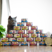 临期特价，泰国进口 Myfoodie 麦富迪 猫罐头 猫咪恋红肉罐系列 吞拿鱼口味 170g*24罐