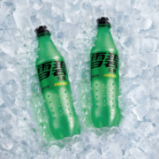 雪碧 Sprite 无糖零卡 汽水 碳酸饮料 500ml*24瓶 整箱装 可口可乐出品 新老包装随机发货