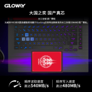 光威（Gloway）长江存储 512GB SSD固态硬盘 SATA3.0接口 弈Pro系列-国产颗粒/国产崛起