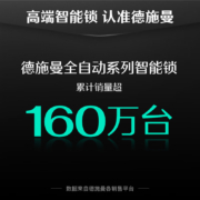 德施曼（DESSMANN）小嘀Q3P高端黑支持米家APP联动全自动隐藏式指纹头电子密码锁指纹锁