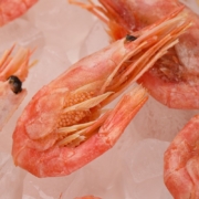 京觅 丹麦熟冻北极甜虾 800g/盒 大号 80-100只/kg 海鲜水产  京东旗下生鲜自有品牌