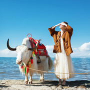 明年游 青海旅游6天 青海湖塔尔寺茶卡盐湖6天5晚游 明星路线