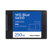 西部数据（WD） SSD固态硬盘 SA510 SATA Blue系列 3D技术 高速读写 SA510 250G蓝盘