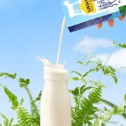 88VIP！认养一头牛 营养早餐纯牛奶250ml*20盒
