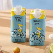 可口可乐旗下，植白说 植物蛋白饮料 330mL*8瓶