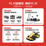 九号（Ninebot） 「易烊千玺同款」九号电动滑板车F30 成年折叠便携迷你电动车双轮代步车体感车 F30滑板车【11.11开门红】