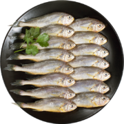 海名威 国产冷冻东海小黄鱼 500g 16-20条 袋装 生鲜海鲜水产 鱼类 年货节 健康轻食