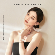 丹尼尔惠灵顿（DanielWellington）【乔欣同款】DW手表女简约欧美表28mm钢带石英女士手表礼物DW00100219