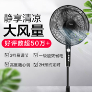 美的（Midea）五叶大风量落地扇轻音节能广角摇头电风扇立式易拆洗定时电扇可伸缩支杆一级能效风扇 FS40-13C