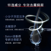 沙宣 洁净去屑 男士洗发水男士 型男小黑瓶 700G 洗发露清爽去油 去屑洗头膏
