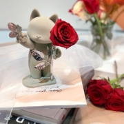 ROSEONLY（诺誓）永生花玫瑰花嘻嘻猫红色 送女友生日纪念日情人节礼物
