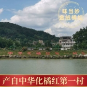 十年陈藏化橘红果切片 100g