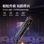 雷克沙（Lexar）NM620 256G SSD固态硬盘 M.2接口（NVMe协议）四通道高速PCle 迅捷读写 办公游戏性能再升级