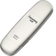 梵想（FANXIANG）256GB USB3.2 Gen1 Type-C接口 FP650 香槟银 高速固态U盘 读550MB/S 手机电脑移动固态硬盘