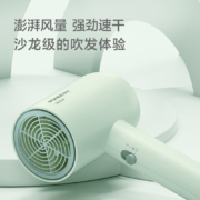 博锐电吹风机家用便携吹风筒宿舍用1800W大功率风筒冷热风三档吹风  嫩绿PH1622