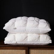AIDLI 100支波兰95%白鹅绒枕芯 48*74cm 单只