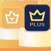 iQIYI 爱奇艺 黄金vip会员年卡+京东plus年卡