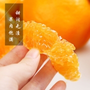 橘子 四川柑橘 春见耙耙柑 4.5斤中果（单果60mm+）