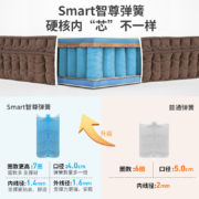 雅兰乳胶床垫软硬舒适席梦思1.5米Smart智尊弹簧床垫 深睡智尊版