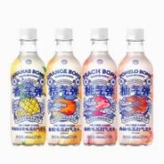 果子熟了 无糖苏打水 480ml*15瓶