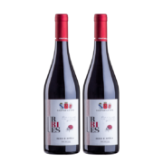 意大利原瓶进口红酒 黑珍珠 干红葡萄酒750ml 2瓶装
