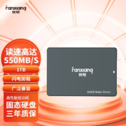 梵想（FANXIANG） SSD固态硬盘 笔记本台式机硬盘 SATA3.0接口 高兼容FP325系列 1T【Q-性能怪兽】