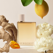 【双十一狂欢】BURBERRY博柏利花与她逐梦伦敦香水柠檬苏打