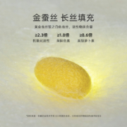 水星家纺 蚕丝被芯 100%桑蚕丝被子 升级抗菌全棉秋冬被子被芯子母被 黄金桑蚕丝被二合一被【抗菌升级】 200×230cm（适配1.5m床套件）