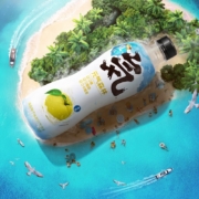 元气森林 苏打气泡水饮料无糖整箱0糖0脂0卡480mL*15瓶 海盐柚子味（4-7月产）